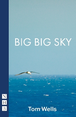 Book cover for Big Big Sky