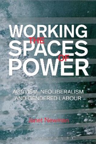 Cover of Working the Spaces of Power