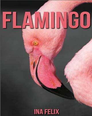 Book cover for Flamingo