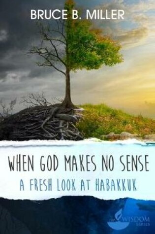 Cover of When God Makes No Sense