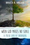 Book cover for When God Makes No Sense