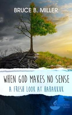 Book cover for When God Makes No Sense