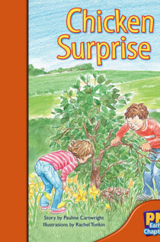 Cover of Chicken Surprise