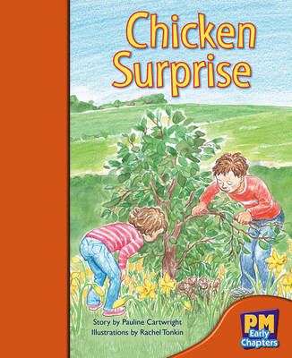 Book cover for Chicken Surprise