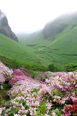 Book cover for Azalea Flowers in the Japanese Mountains Journal