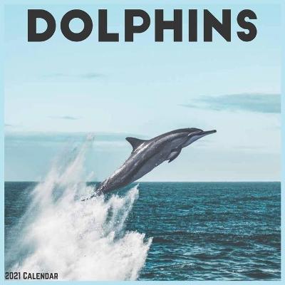 Book cover for Dolphins 2021 Calendar