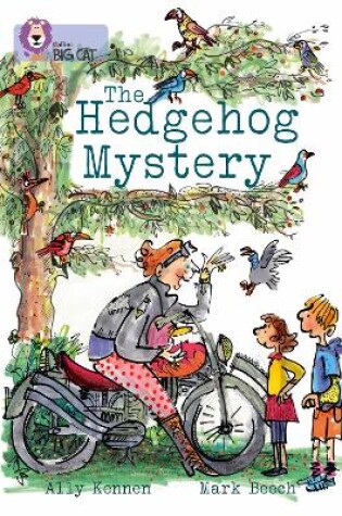 Cover of The Hedgehog Mystery