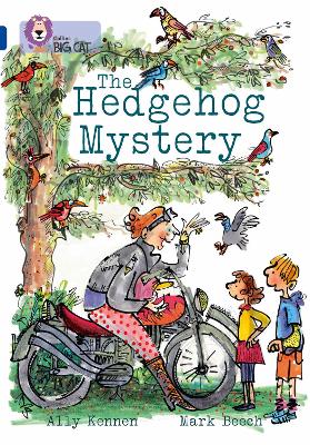 Book cover for The Hedgehog Mystery