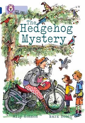 Cover of The Hedgehog Mystery