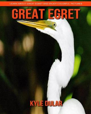 Book cover for Great Egret! Learn about Great Egret and Enjoy Colorful Pictures