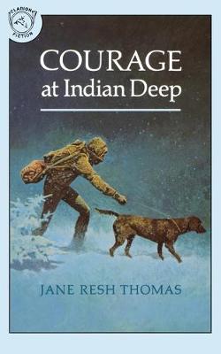 Book cover for Courage at Indian Deep