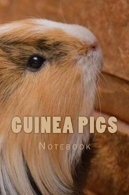 Book cover for Guinea Pigs