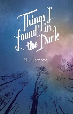 Book cover for Things I Found In The Dark