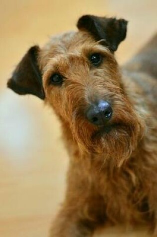 Cover of Irish Terrier Dog with a Curious Look Journal