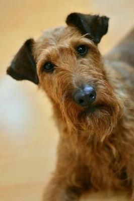 Book cover for Irish Terrier Dog with a Curious Look Journal