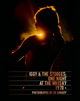 Book cover for Iggy & the Stooges