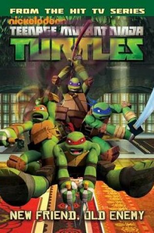 Cover of Teenage Mutant Ninja Turtles Animated Volume 2 Never Say Xever / The Gauntlet