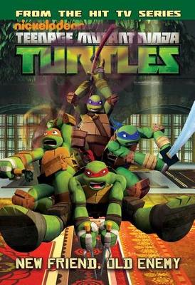 Book cover for Teenage Mutant Ninja Turtles Animated Volume 2 Never Say Xever / The Gauntlet