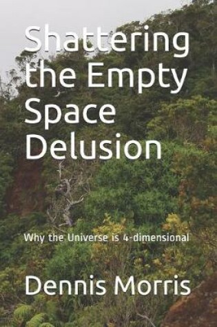 Cover of Shattering the Empty Space Delusion