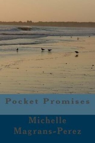 Cover of Pocket Promises