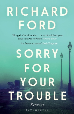 Book cover for Sorry For Your Trouble
