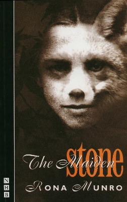 Book cover for The Maiden Stone