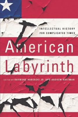 Book cover for American Labyrinth