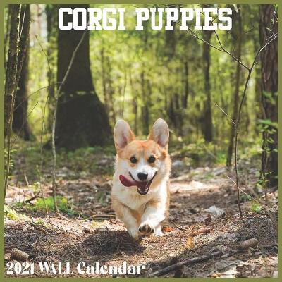 Book cover for Corgi Puppies 2021 Wall Calendar