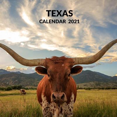 Book cover for Texas Calendar 2021