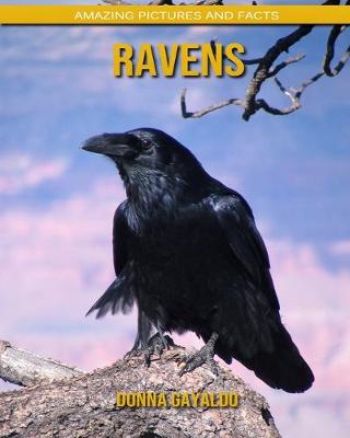 Book cover for Ravens