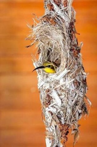 Cover of A Stunning Sunbird Nesting