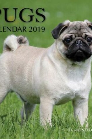 Cover of Pugs Calendar 2019