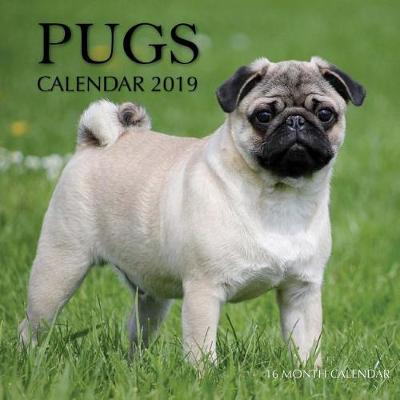 Book cover for Pugs Calendar 2019