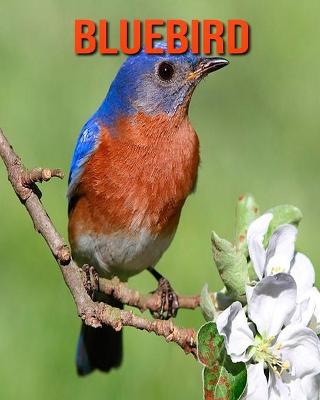 Book cover for Bluebird