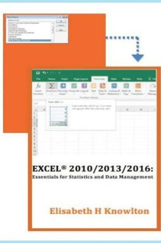 Cover of Excel 2010/2013/2016
