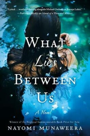 Cover of What Lies Between Us