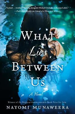 Book cover for What Lies Between Us