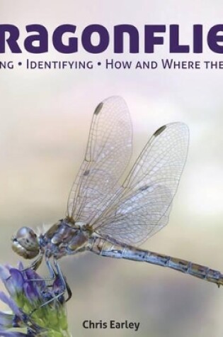 Cover of Dragonflies: Hunting - Identifying - How and Where They Live