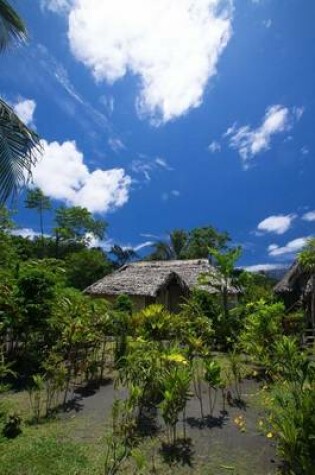 Cover of Traditional House in Vanuatu Journal