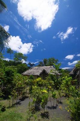 Book cover for Traditional House in Vanuatu Journal