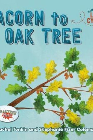 Cover of Acorn to Oak Tree