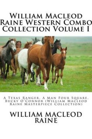 Cover of William MacLeod Raine Western Combo Collection Volume I