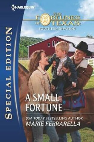 Cover of A Small Fortune