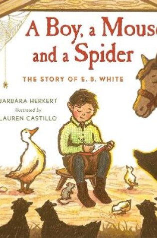 Cover of A Boy, a Mouse, and a Spider