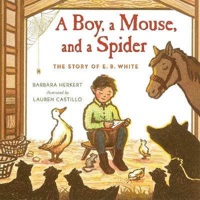 Book cover for A Boy, a Mouse, and a Spider