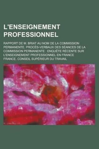 Cover of L'Enseignement Professionnel; Rapport de M. Briat Au Nom de La Commission Permanente. Proces-Verbaux Des Seances de La Commission Permanente