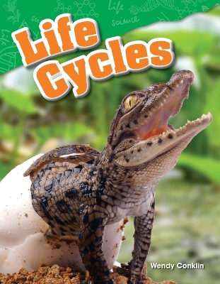 Book cover for Life Cycles