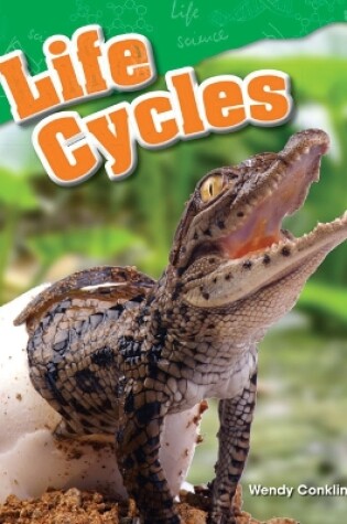 Cover of Life Cycles