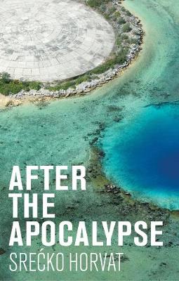 Book cover for After the Apocalypse