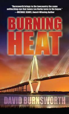 Book cover for Burning Heat